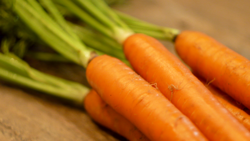 Introducing Carrot